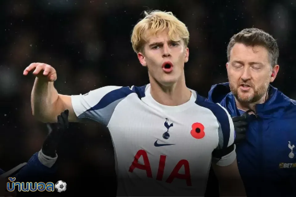 วิคาริโอบอกเป็นหน้าที่กันหมาเห่าเบิร์กวัลล์